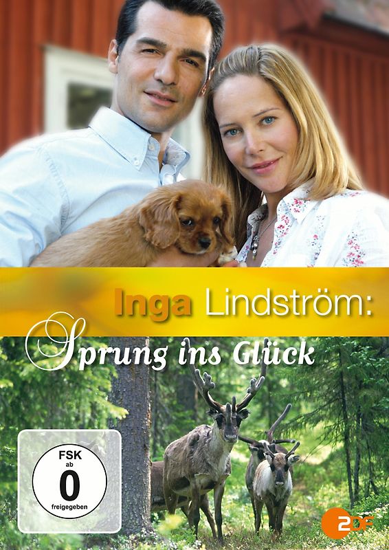 Inga Lindström: Sprung ins Glück - Inga Lindström DVD