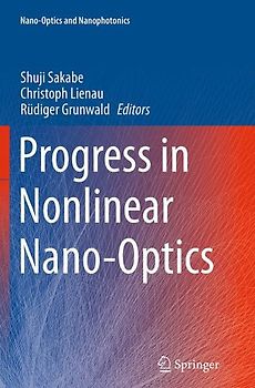 Progress in Nonlinear Nano-Optics