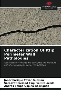 Characterization Of Itfip Perimeter Wall Pathologies: Identification of failures and damage to the enclosure wall, their causes and type of rehabilitation