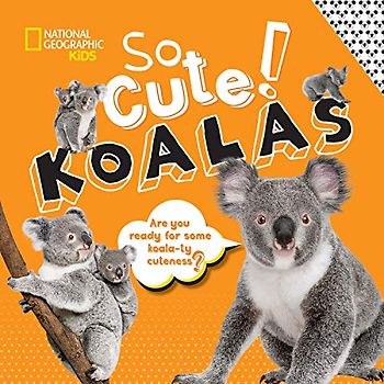 So Cute! Koalas (So Cool/So Cute)