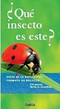 ¿Qué insecto es este?