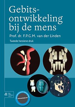 Gebitsontwikkeling bij de mens