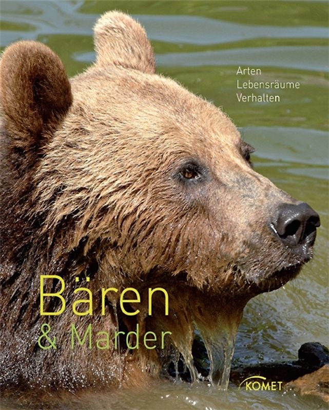 Bären & Marder