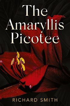 The Amaryllis Picotee