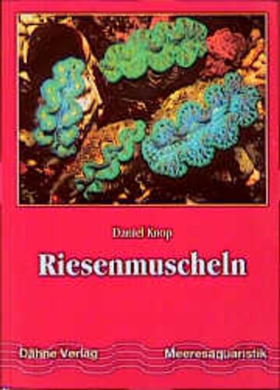 Riesenmuscheln