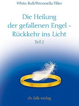 Die Heilung der gefallenen Engel – Rückkehr ins Licht