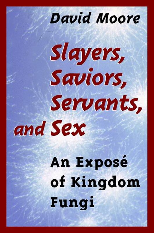Slayers, Saviors, Servants and Sex