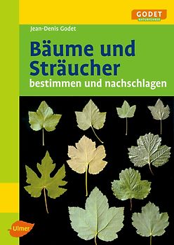 Bäume und Sträucher