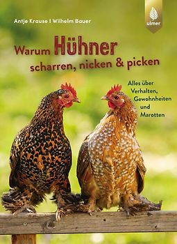 Warum Hühner scharren, nicken und picken