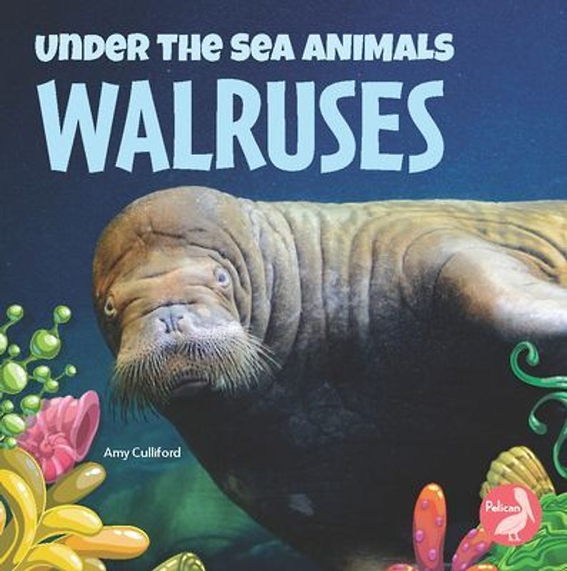 Walruses