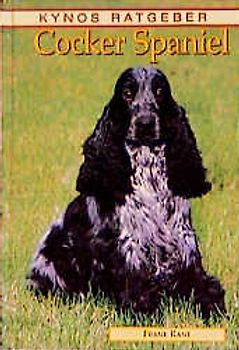 English Cocker Spaniel