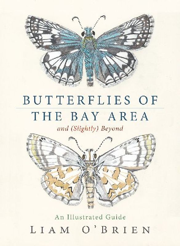 Butterflies of the Bay Area and (Slightly) Beyond