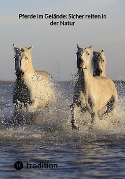 Pferde im Gelände: Sicher reiten in der Natur