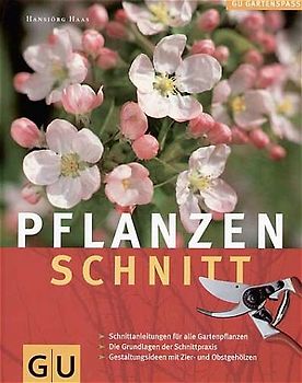 Pflanzenschnitt