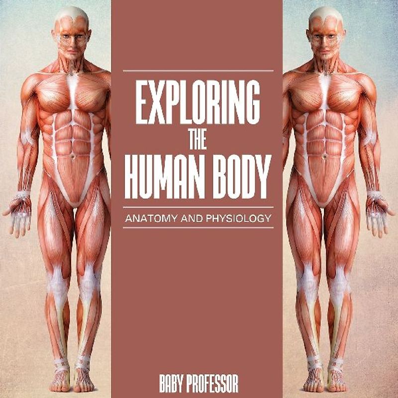 Exploring the Human Body | Anatomy and Physiology