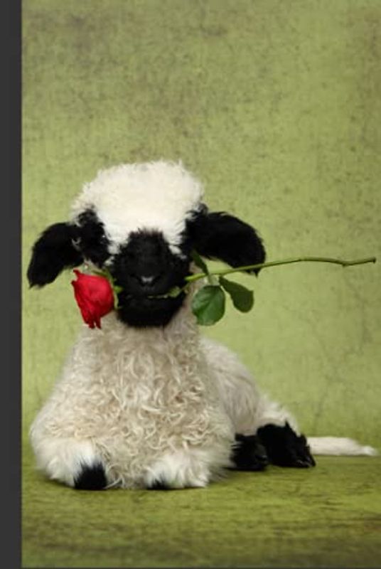 Valais Blacknose Sheep Notebook: Notebook 6x9 with 120 pages squared paper