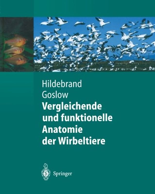 Vergleichende und funktionelle Anatomie der Wirbeltiere