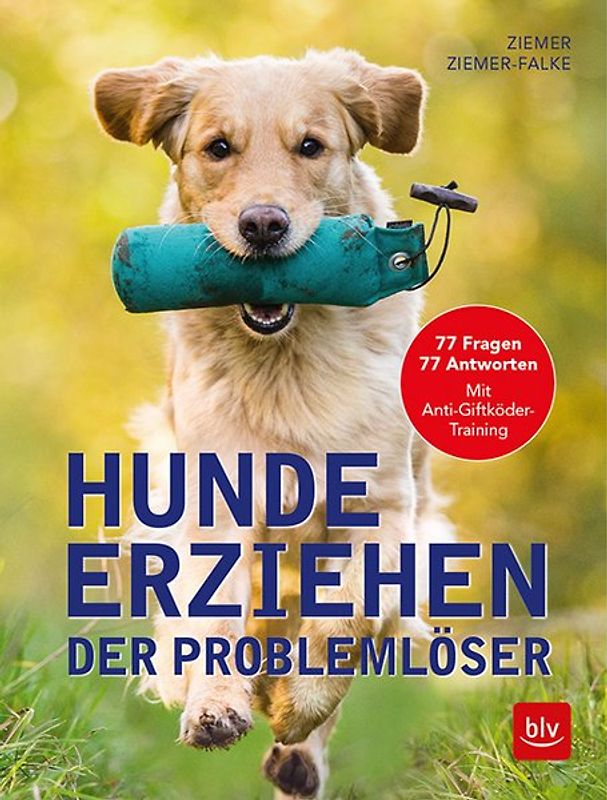 Hunde erziehen. Der Problemlöser