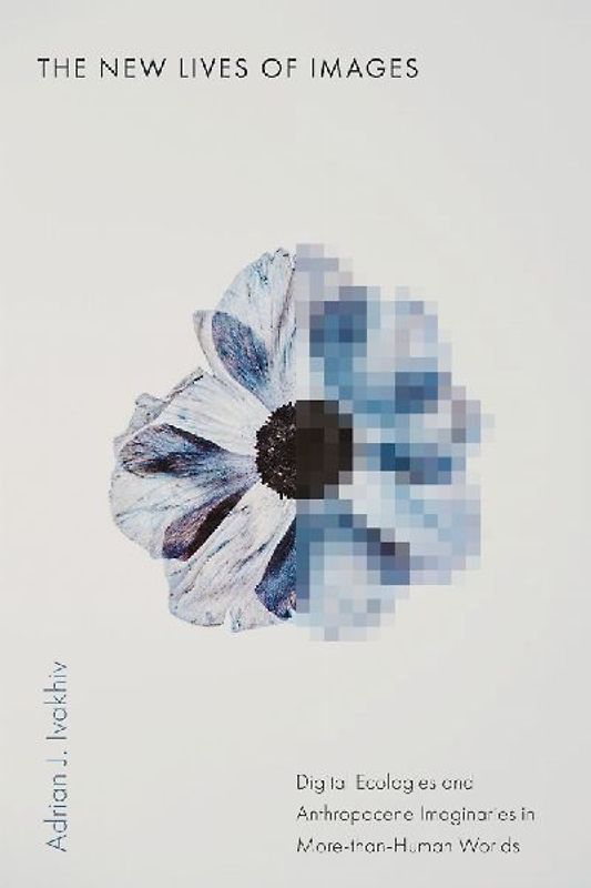 The New Lives of Images