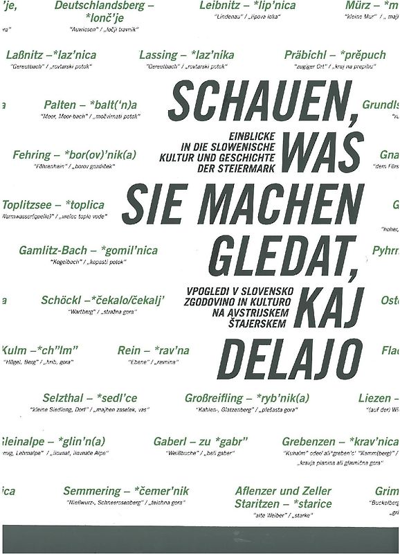 Schauen, was sie machen. Gledat, kaj delajo.