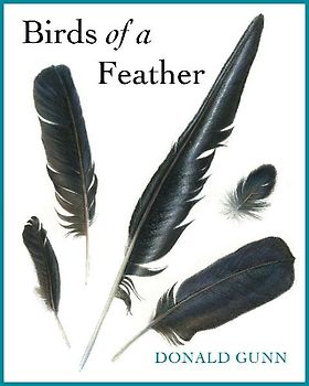 Found Feathers