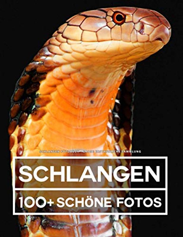 Schlangen Fotobuch - Große Erstaunliche Sammlung: 100 Wunderschöne Bildern - Für Kinder und Erwachsene