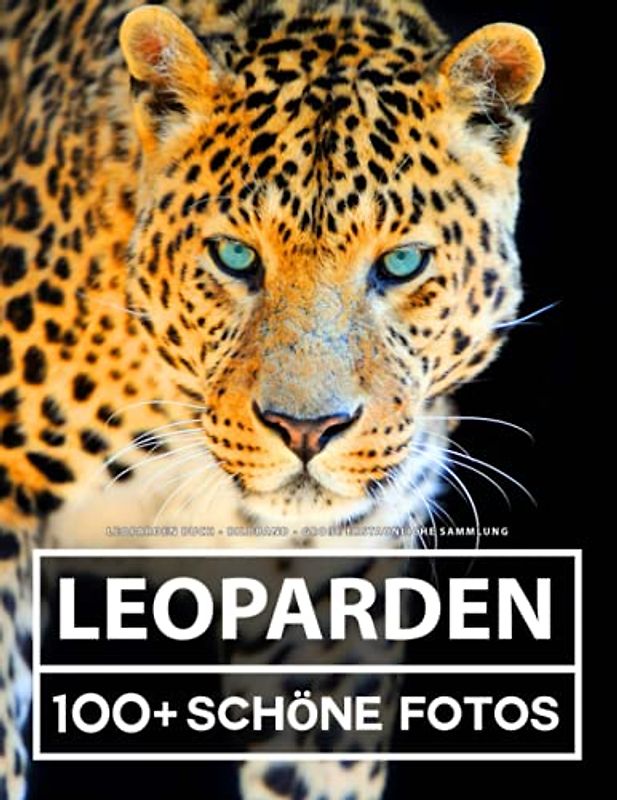 Leoparden Buch - Bildband - Große Erstaunliche Sammlung: 100 Wunderschöne Bildern - Für Kinder und Erwachsene