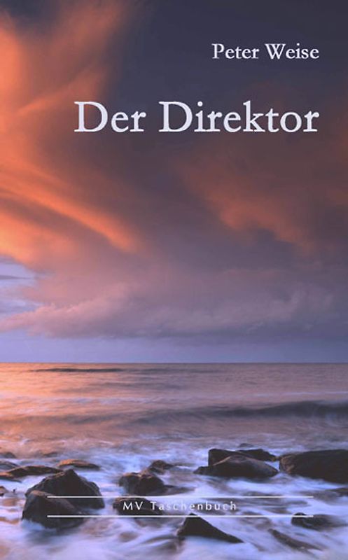 Der Direktor. Erzählung