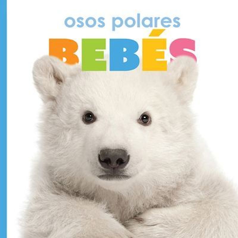Osos Polares Bebés