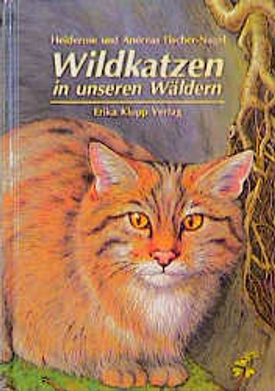 Wildkatzen in unseren Wäldern