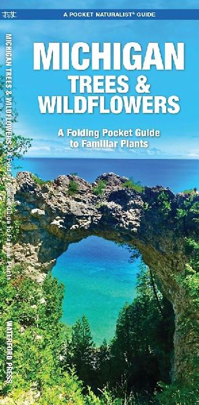 Michigan Trees & Wildflowers