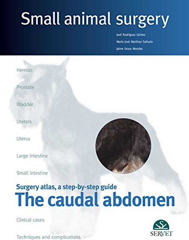 The Caudal Abdomen. Small Animal Surgery