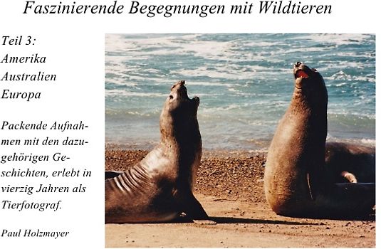 Faszinierende Begegnungen mit Wildtieren