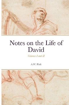 Notes on the Life of David