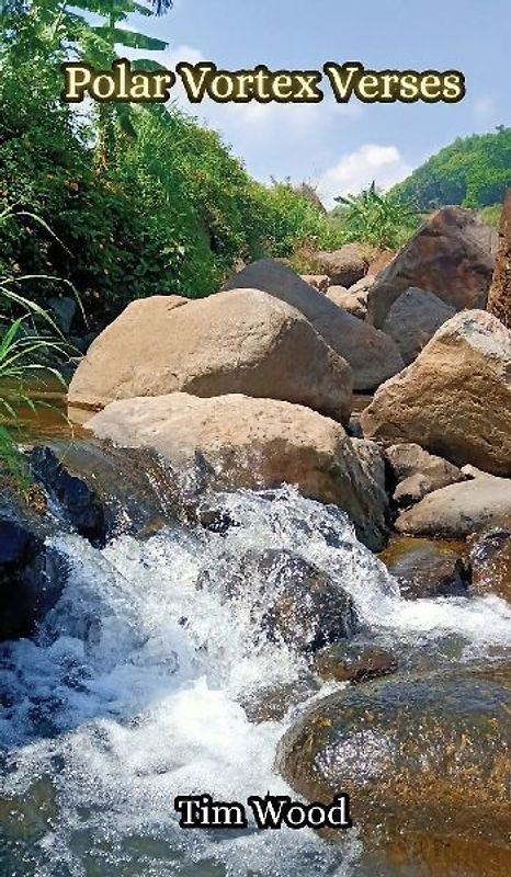 Polar Vortex Verses