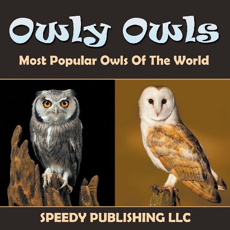 Owly Owls Most Popular Owls Of The World