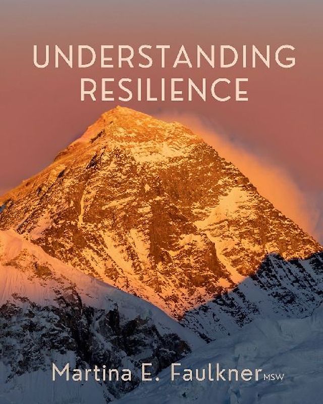 Understanding Resilience