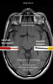 ASS Autismus-Spektrums-Segnung - Inklusion ist keine Einbahnstraße: hochfunktionaler Autismus, Mobbing, Trauma, Sucht, Häusliche Gewalt, Psychotherapie, Umzug, Inklusion, Katholische Kirche, Zen