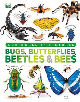 Our World in Pictures Bugs, Butterflies, Beetles and Bees