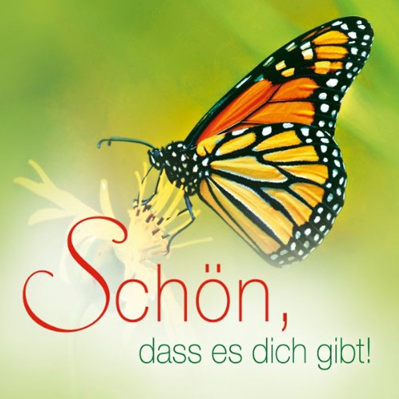 Layna - Schön, dass es dich gibt