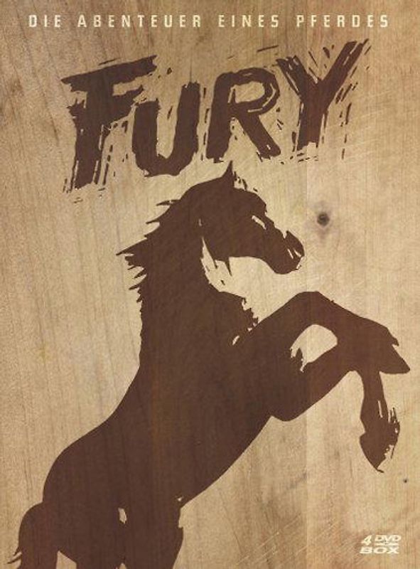 Fury - 4DVD-DigiPak DVD