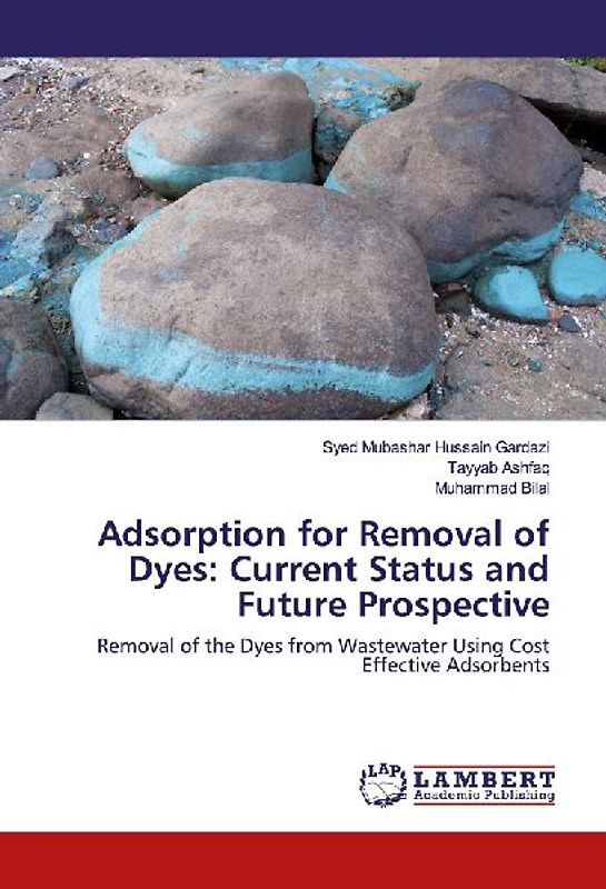 Adsorption for Removal of Dyes: Current Status and Future Prospective