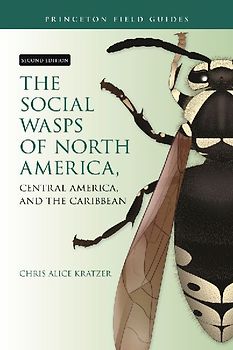 The Social Wasps of North America, Central America, and the Caribbean, Second Edition