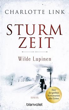 Sturmzeit - Wilde Lupinen
