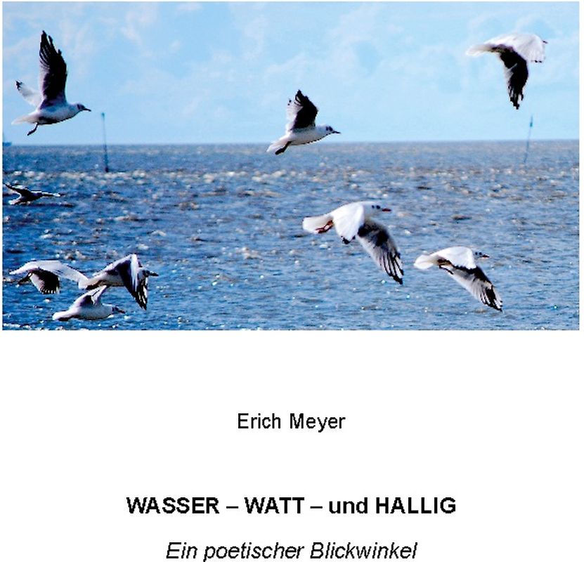 Wasser - Watt - und Hallig