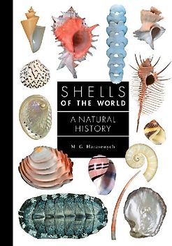 Shells of the World