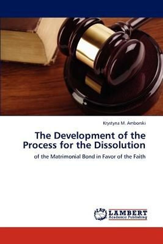 The Development of the Process for the Dissolution