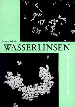 Wasserlinsen