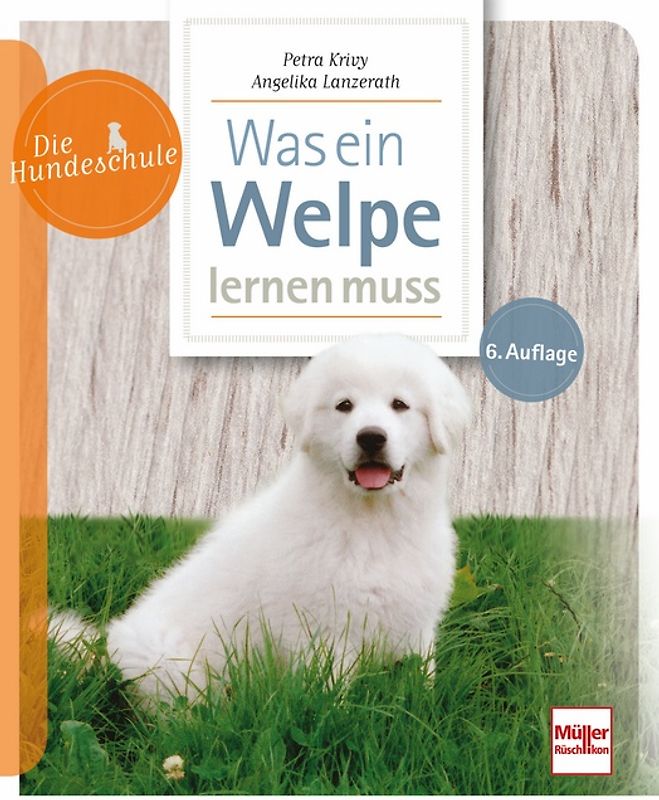 Was ein Welpe lernen muss