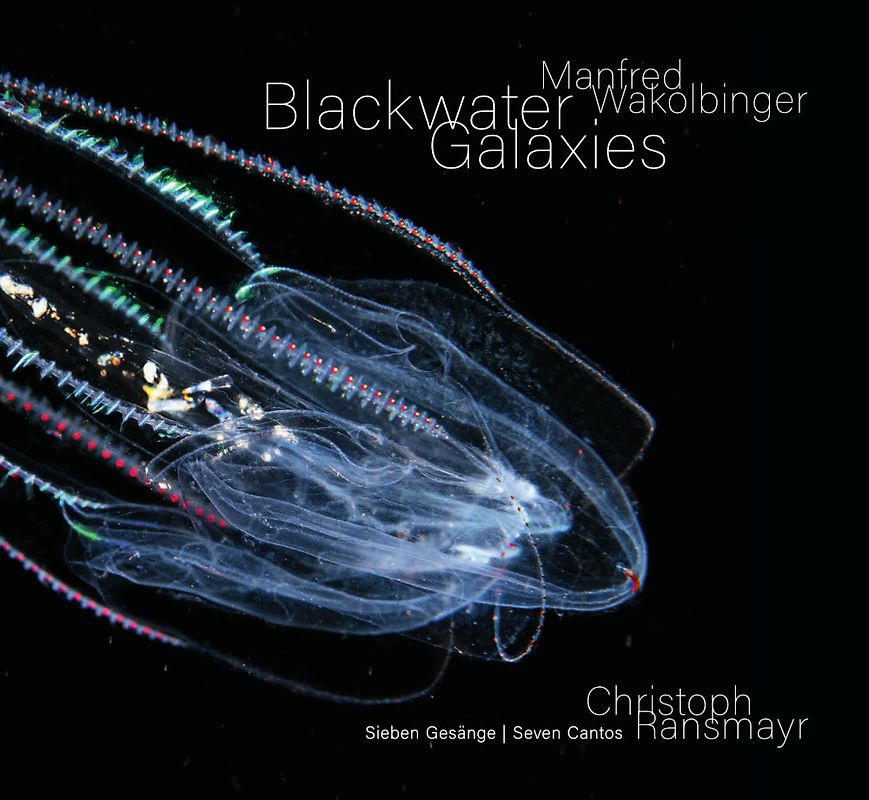 Manfred Wakolbinger – Blackwater Galaxies